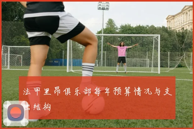 法甲里昂俱乐部每年预算情况与支出结构