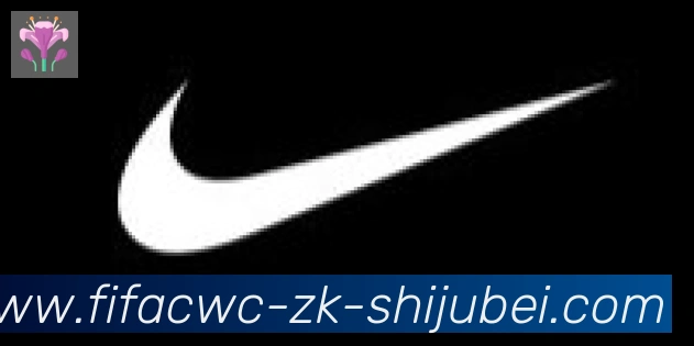 世界杯直播合作伙伴